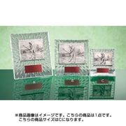 ME-6225C [金属製レリーフ ガラス製 楯]