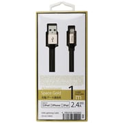 アップル認証 ワイヤーメッシュコードタイプ 1m ゴールド UD-ALC100GD