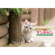 CL-312 [2016年カレンダー 子猫のマンチカン]