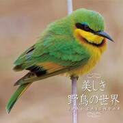CL-319 [2016年カレンダー 美しき野鳥の世界]