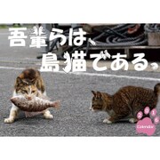 CL-322 [2016年カレンダー 吾輩らは、島猫である。]