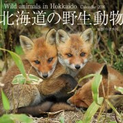 CL-325 [2016年カレンダー 北海道の野生動物]