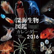 CL-335 [2016年カレンダー 深海生物図鑑]