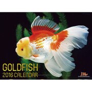 CL-338 [2016年カレンダー GOLD FISH]