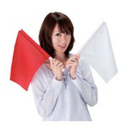 紅白旗上げゲーム
