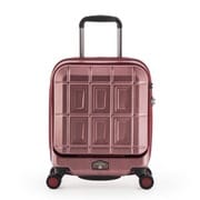 PANTHEON Mini 旅行日数目安:1~2泊 21L TSA搭載 機内持ち込み可 マットブラッシュレッド PTS-4005KC