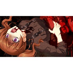 マブラブ　オルタネイティブ　PS vita  新品 Amazon | マブラヴ - PS Vita | ゲームソフト