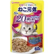 キャットフード ねこ元気 総合栄養食パウチ 20歳を過ぎてもすこやかに お魚ミックス まぐろ 白身魚 あじ入りかつお 60g 対象年齢:18歳頃~