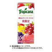 トロピカーナ シーズンズ・ベスト 深まるクランベリーテイスト [パック 250mL×24本]
