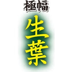 ヨドバシ.com - 小林製薬 生葉 生葉 極幅ブラシ レギュラーヘッド