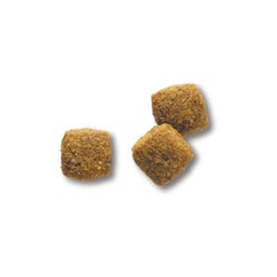 ファーストチョイス ドッグフード 高齢犬 7歳以上 中粒チキン6.7kg 2個 ファーストチョイス ChoiceS ダイエットしたい子に高齢犬7歳以上