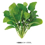 UH-BC02 [水耕栽培器 Green Farm用 種子 ルッコラ]