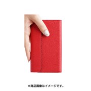 IN10946 セキュアiP6SP/6P RD