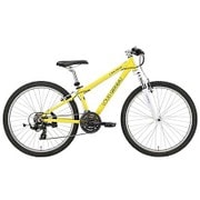 LGS-FIVE YELLOW 420 16LG-FE-19