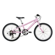 子ども用自転車 20型 6段変速 ピンク 16LG-206-03 LGS-J206 LG PINK250