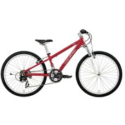子ども用自転車 24型 21段変速 レッド 16LG-24-02 LGS-J24 LG RED300