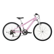 子ども用自転車 24型 21段変速 ピンク 16LG-24-03 LGS-J24 LG PINK300
