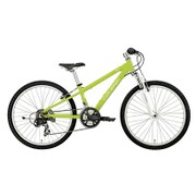 子ども用自転車 24型 21段変速 ライトグリーン 16LG-24-05 LGS-J24 LITE GREEN 300