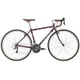CT MARRON 460 16LG-CT-04