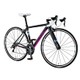 ロードバイク LGS-WTR 460mm 700×25C 外装20段変速 LGブラック 16LG-WT-05