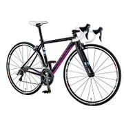 ロードバイク LGS-WTR 500mm 700×25C 外装20段変速 LGブラック 16LG-WT-06