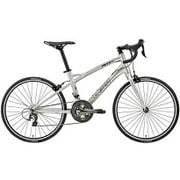 小径車(ミニベロ) LGS-MV 24D 390mm 24型 外装20段変速 MATT SCOTCH BRIGHT SILVER 16LG-M24D-01