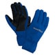 1118219 [OutDry レイングローブ メンズ Lサイズ ロイヤルブルー]