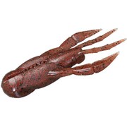 カバースライド4 エビミソレッドフレーク
