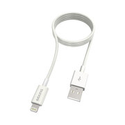 iPhone 5 Lightningケーブル AiD04W2