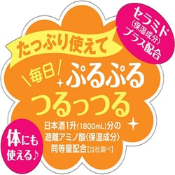 菊正宗 日本酒の乳液 380ml 菊正宗酒造 安い