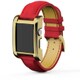 CV-AW1000GR [CorVin Premium Accessories for Apple Watch 38mm CV1000シリーズ]