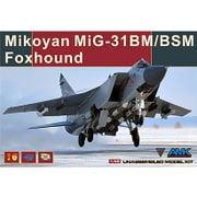 AGM88003 [1/48 エアクラフトシリーズ ミコヤン MiG-31BM/BSM フォックスハウンド 迎撃戦闘機]