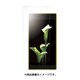 BSMPSO02HFT [Xperia Z5 Compact SO-02H専用 防指紋 フィルム スムースタッチ]