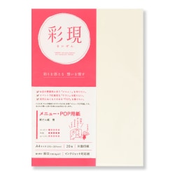 彩現 メニュー POP用紙 新だん紙 雪 A4 20枚入り 1742032