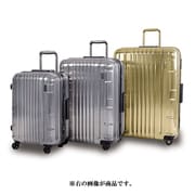 スーツケース TSAロック付 メタルゴールド ハードーケース L LKOH-L