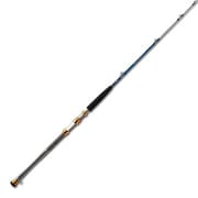 デッキスティック インスピレーション 200 [船竿]