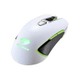 CGR-WOMW-450 COUGAR 450M gaming Mouse (White)