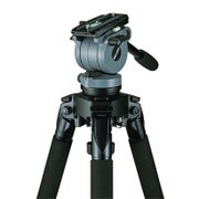 DS10 フルーイドヘッド 182