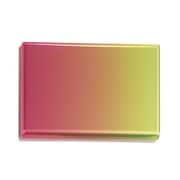 Card Case Red×Yellow ONM-001-RY