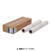 普通紙ロール 薄手 2本入り EPPP6444