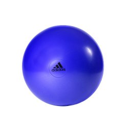 ヨドバシ.com - adidas アディダス ADBL-13246PL [ジムボール 65cm