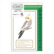 カード M 429 ラボ オカメインコ柄 24429006