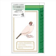 カード M 432 ラボ 文鳥柄 24432006