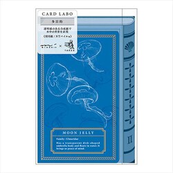 ヨドバシ.com - デザインフィル ミドリ カード M 436 ラボ