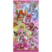 プリンセスプリキュア 札用ポチ袋 2柄込 6114260A