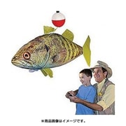 エアースイマー フライングバス