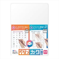 透視療法のコツと落とし穴 中山書店 978-4-8052-5262-4 100000001002951741_10203.jpg