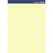 zeitVektor レポート用紙 A5 (イエロー用紙) ZVP385