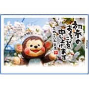 2016年 申年 お年玉付年賀はがき3枚 特選デザイン フォトデザイン PC459