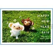 2016年 申年 お年玉付年賀はがき3枚 特選デザイン フォトデザイン PC460